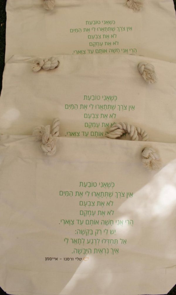⁦תיק "יבשה"⁩ – תמונה ⁦2⁩